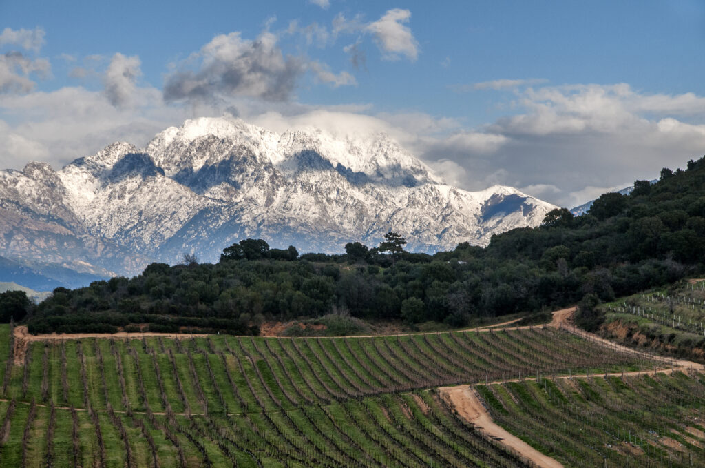 Paysage hivernal de Corse avec vignes au premier plan et montagnes enneigées à l’arrière-plan – illustration du séjour en Corse en hiver avec Clévacances.