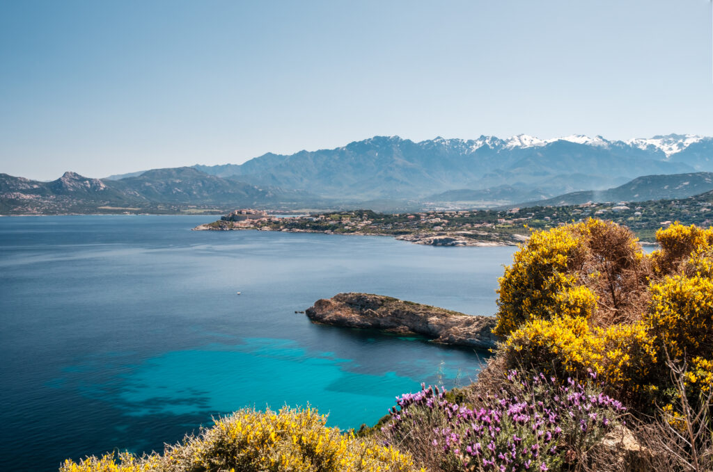 Paysage de Corse en février avec mer turquoise au premier plan, maquis en fleurs et montagnes corses enneigées en arrière-plan, illustrant la diversité naturelle de l’île en hiver.