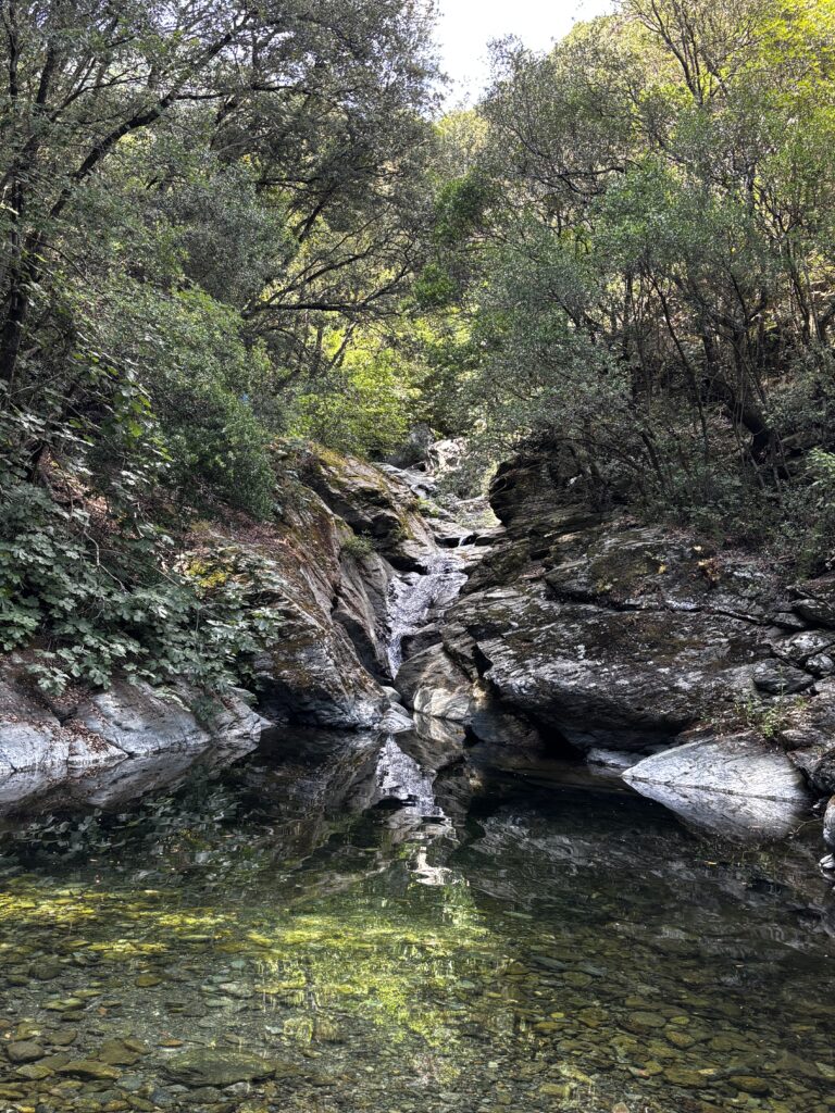 Piscine naturelle en Corse au printemps, entourée de rochers et végétation, idéale pour une pause fraîcheur lors d’une randonnée en mai.