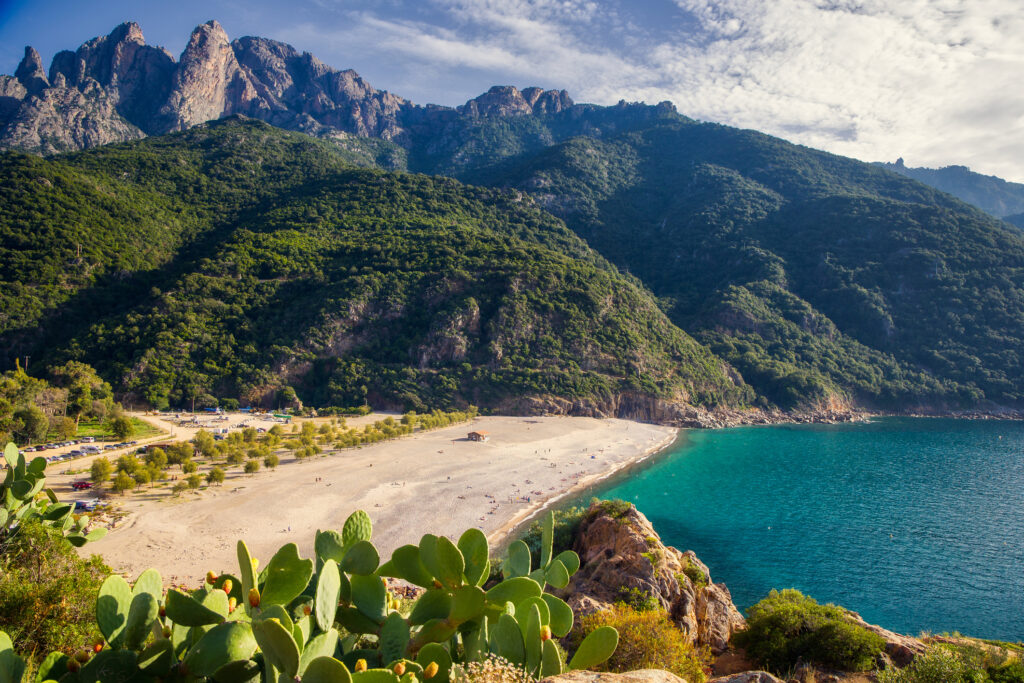 vue baie de porto en corse